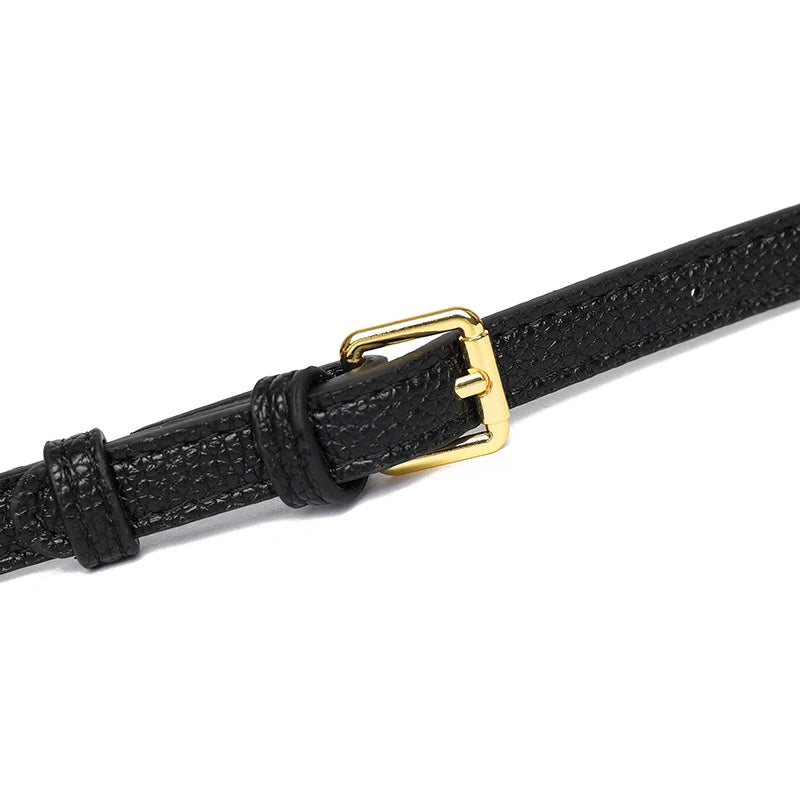 Palermo – Bolsa Transversal